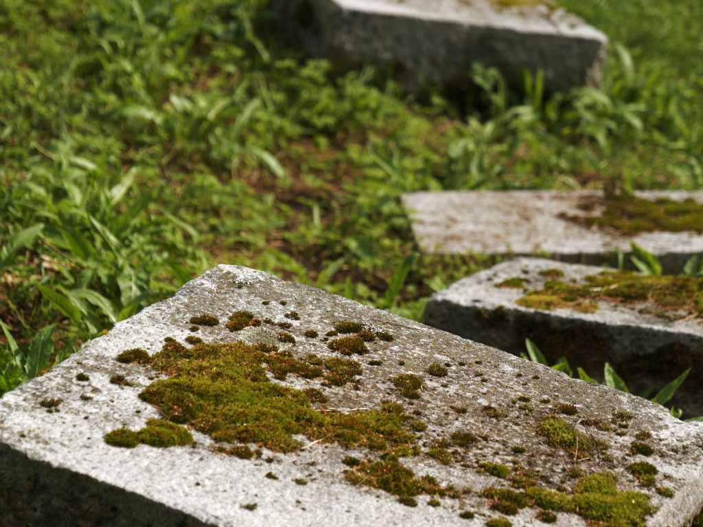 Kvadratiska stenplattor med mossa på.